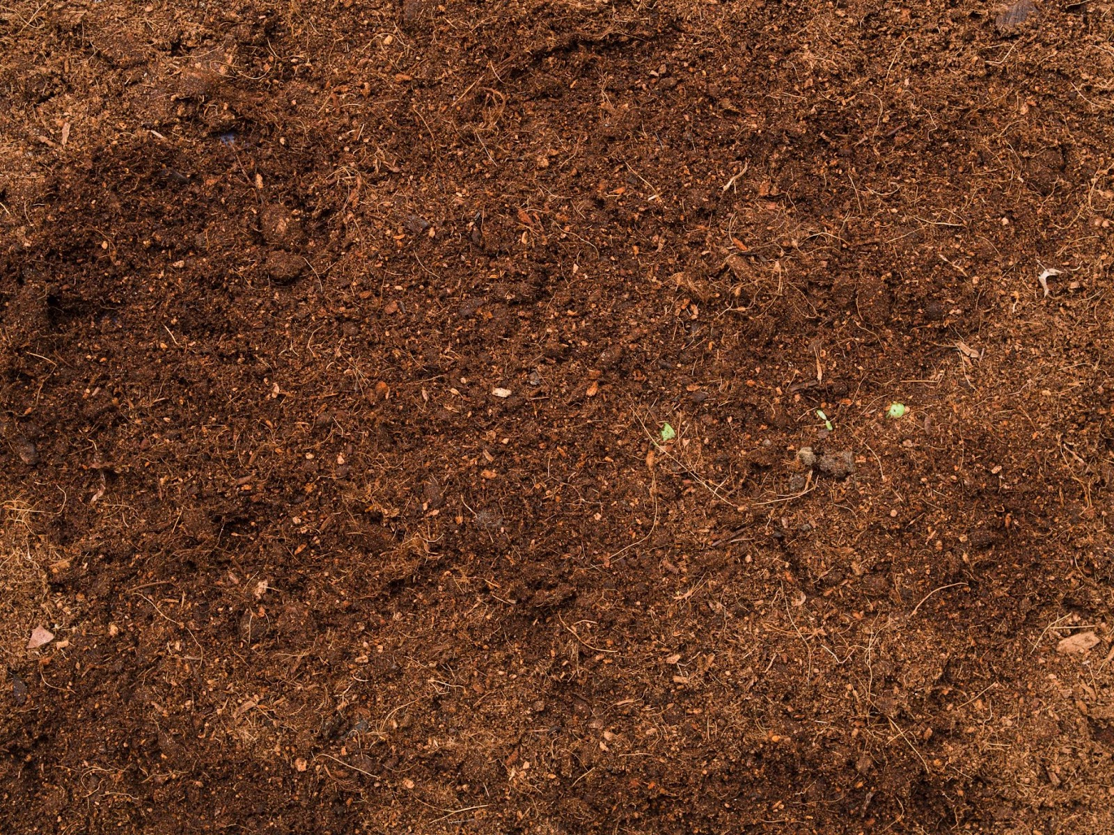 cocopeat produk dari sabut kelapa