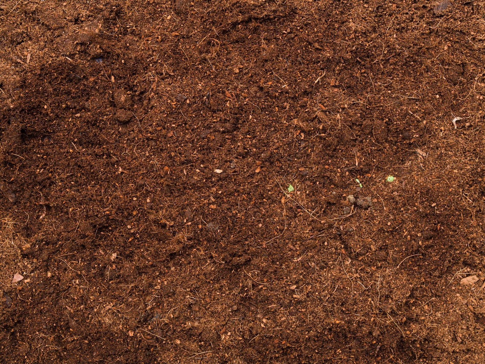 cocopeat produk dari sabut kelapa