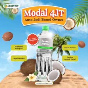 bisnis minyak kelapa