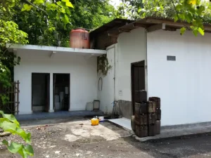 pabrik-asap-cair-batok-kelapa