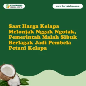 Kelapa